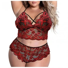 2 Piece Lingerie Sets for Women UK Sexy Plus Size Mesh See Through Lingerie Wireless Push Up Bras and Panty Set Lace Floral Lingerie Naughty Nightwear LadiesTeddy Nightgown 2 Piece Lingerie Sets for Women UK Sexy Plus Size Mesh See Through Lingerie Wireless Push Up Bras and Panty Set Lace Floral Lingerie Naughty Nightwear LadiesTeddy Nightgown