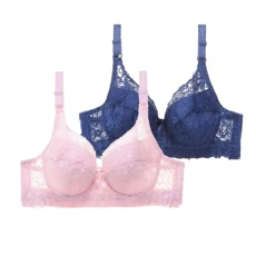 2Pcs Bras for Women Floral Lace Gathered Bra Adjustable Pair of Thin Breast Cup Underwear Push Up Bra with Steel Ring Sports Bras Women Breeding Nursing Bras Comfort Wrap Chest Women's Bras