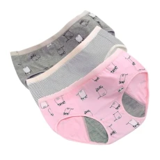 3pcs Menstrual Period Underwear Womens Panties Womens Lingerie Women's Panties Underpants for Women Cotton Underwear for Women Thong High Waisted Bikini Women Underwear Miss Briefs 3pcs Menstrual Period Underwear Womens Panties Womens Lingerie Women's Panties Underpants for Women Cotton Underwear for Women Thong High Waisted Bikini Women Underwear Miss Briefs