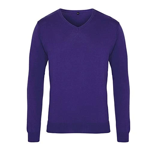 Adults Plain Long Sleeves V Neck Knitted Sweater Mens Casual Winter Wear Jumper (Purple Large)