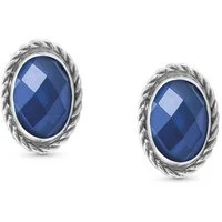 Blue CZ Silver Earrings