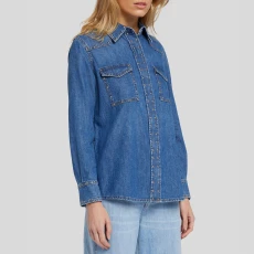 Blue Emilia Embellished Denim Shirt