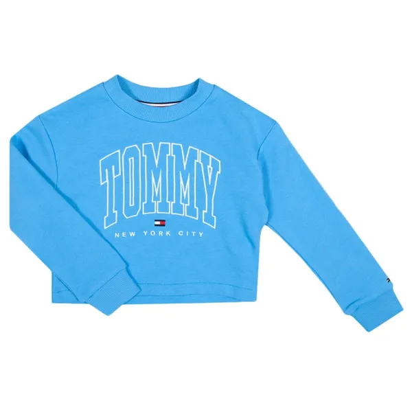 Bold Varsity Cropped Sweatshirt