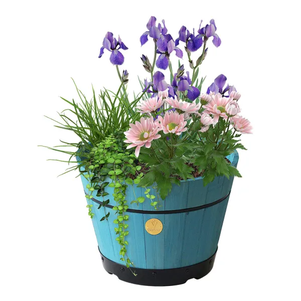 Build A Barrel by Small 37cm Powder Blue