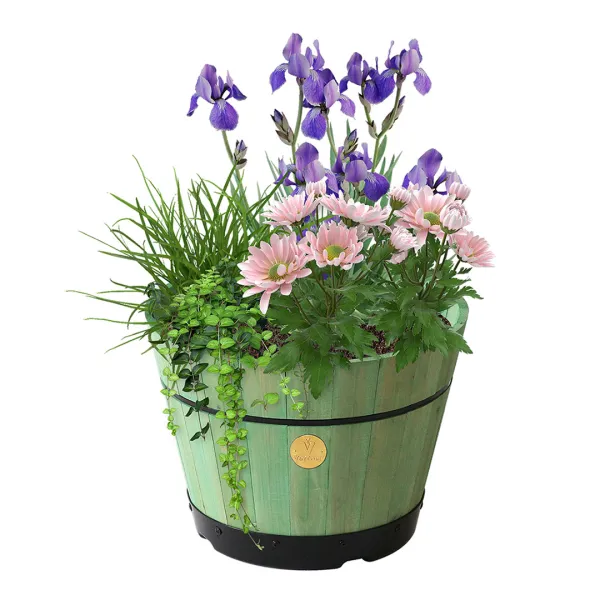 Build A Barrel by Small 37cm Sage Green - Grey