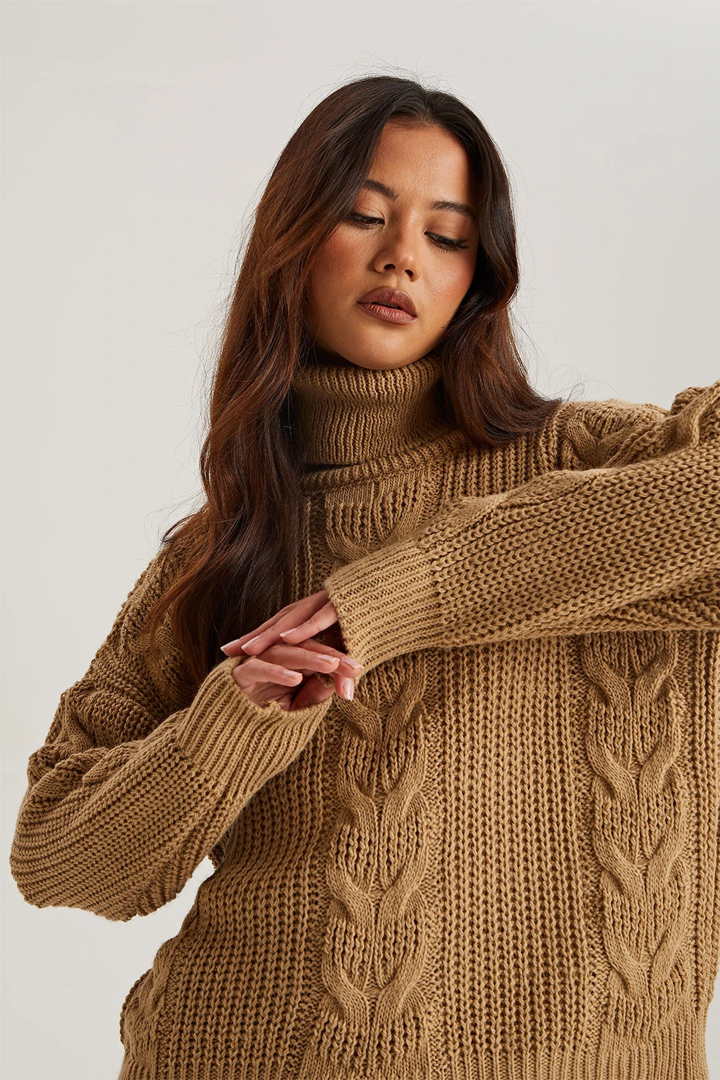 Camel Roll Neck Jumper /