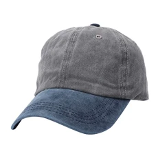Cap Father's Day Men Women Summer Fashion Casual Sun Protection Baseball Caps Men Hats Caps, darkgray, One Size