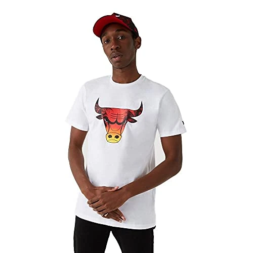 Chicago Bulls NBA Summer City Infill T-Shirt - XL