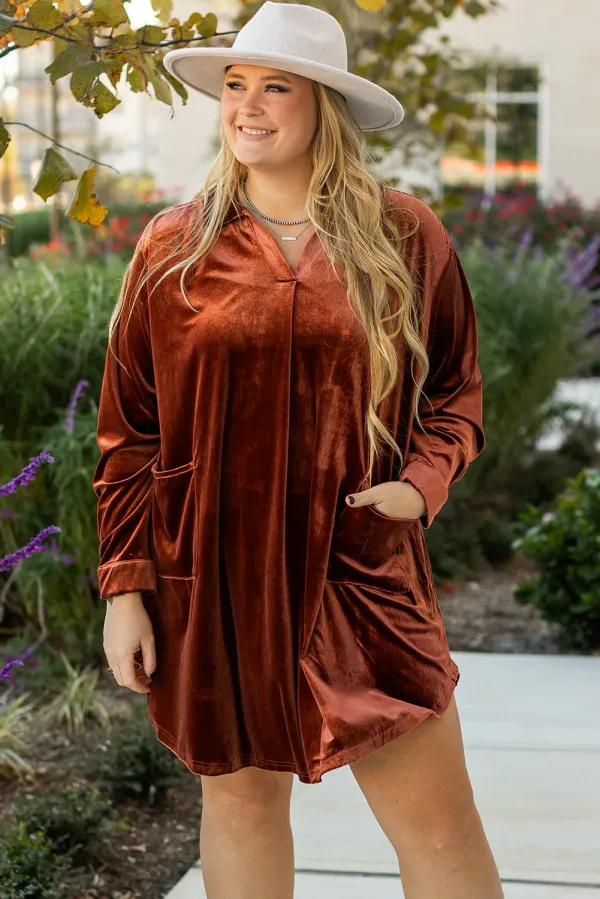 Coffee Plus Size V Neck Collared Pleated Back Rounded Hem Velvet Dress - COFFEE / 2X / 95%POLYESTER+%ELASTANE