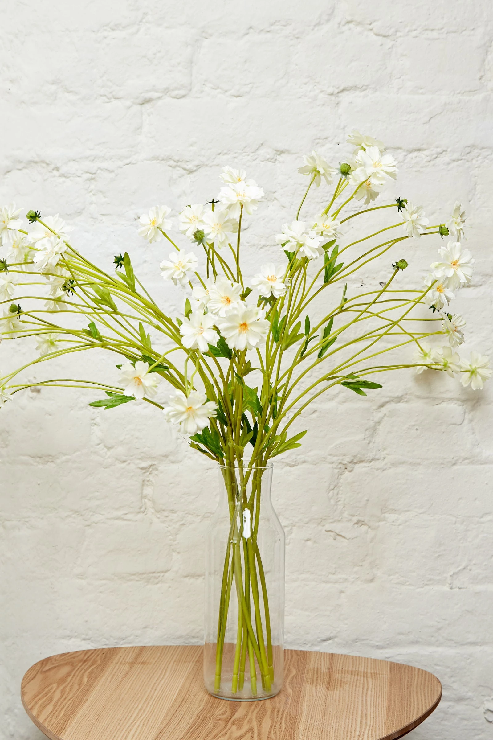 Cream Daisy Faux Flowers - 








  

  

  

  

  

  

  

  

  

  

  

  

  

  

  

  

  

  

  

  

  

  

  

  

  

  

  

  

  

  

  

  

  

  

  

  

  

  

  

  

  

  

  

  

  

  

  

  
    
    


  white

