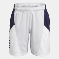 Curry Splash Boys Shorts Halo Gray / White / Midnight Navy YMD ( 59 in) Curry Splash Boys Shorts Halo Gray / White / Midnight Navy YMD ( 59 in)