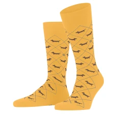 Dachshund Men Socks - Yellow