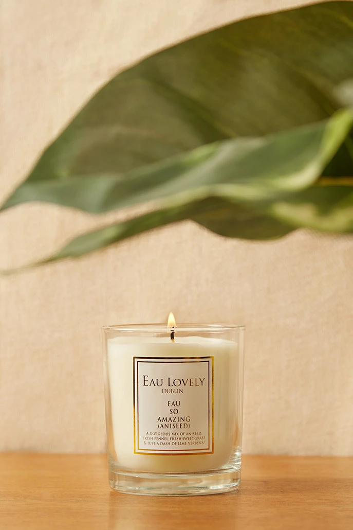 Eau So Amazing Candle - 








  

  

  

  

  

  

  

  

  

  

  

  

  

  

  

  

  

  

  

  

  

  

  

  

  

  

  

  

  

  

  

  

  

  

  

  

  

  

  

  

  

  

  

  

  

  

  

  

  

  

  

  

  

  

  

  

  

  

  

  

  

  

  

  

  

  

  

  

  

  

  

  

  



  


