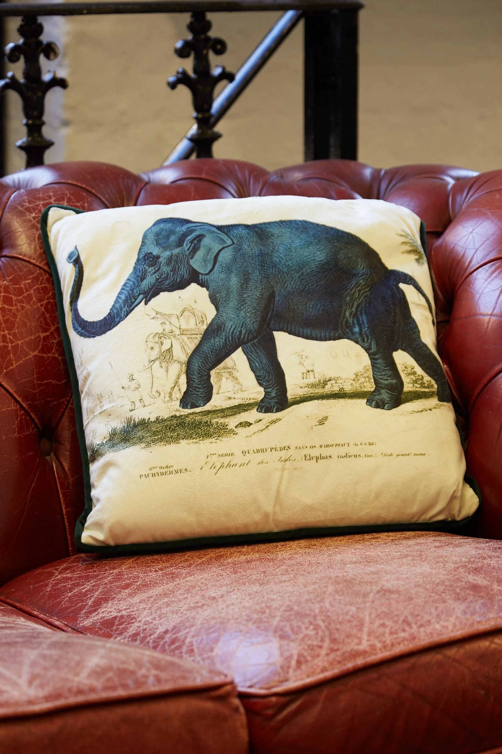Elephant Printed Velvet Cushion - 








  

  

  

  

  

  

  

  

  

  

  

  

  

  

  

  

  

  

  

  

  

  

  

  

  

  

  

  

  

  

  

  

  

  

  

  

  

  

  

  

  

  

  

  

  

  

  

  

  

  

  

  

  

  

  

  

  

  

  

  

  

  

  

  

  

  

  

  

  

  

  

  

  



  

