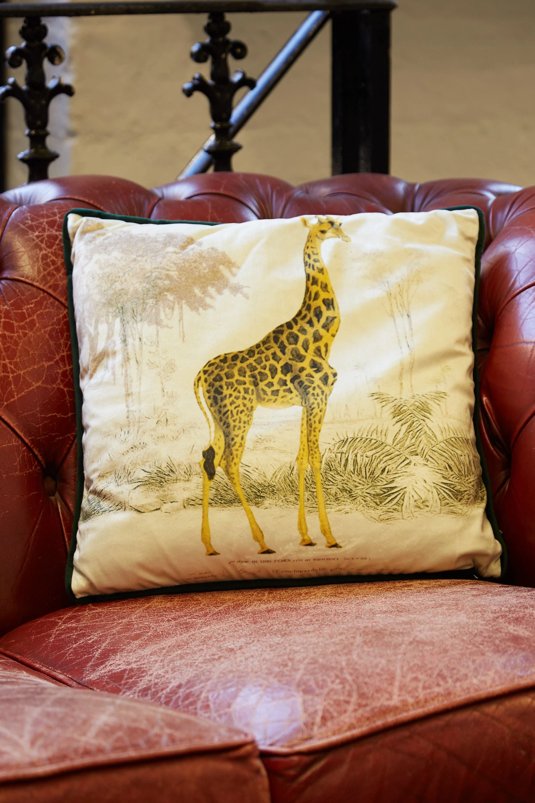 Giraffe Printed Velvet Cushion - 








  

  

  

  

  

  

  

  

  

  

  

  

  

  

  

  

  

  

  

  

  

  

  

  

  

  

  

  

  

  

  

  

  

  

  

  

  

  

  

  

  

  

  

  

  

  

  

  

  

  

  

  

  

  

  

  

  

  

  

  

  

  

  

  

  

  

  

  

  

  

  

  

  



  

