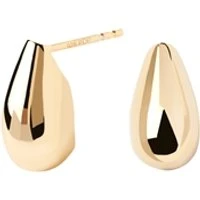 Gold Sugar Earrings - Gold