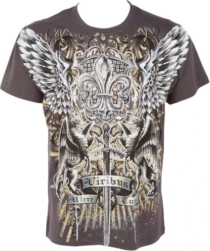 GriffinSword035 Sword and Griffin Metallic Mens Fashion T-Shirt - Charcoal/Medium