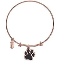 Guide Dogs NI Paw Rose Gold Bangle