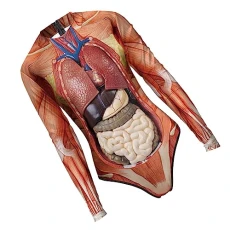 Halloween Swimsuit Halloween Costume Clothes Halloween Beachwear Bathing Suit Halloween Swimwear Women's Swim Dresses Human Tissue Pattern Swimwear Cosplay 3d Polyester Rompers Halloween Swimsuit Halloween Costume Clothes Halloween Beachwear Bathing Suit Halloween Swimwear Women's Swim Dresses Human Tissue Pattern Swimwear Cosplay 3d Polyester Rompers
