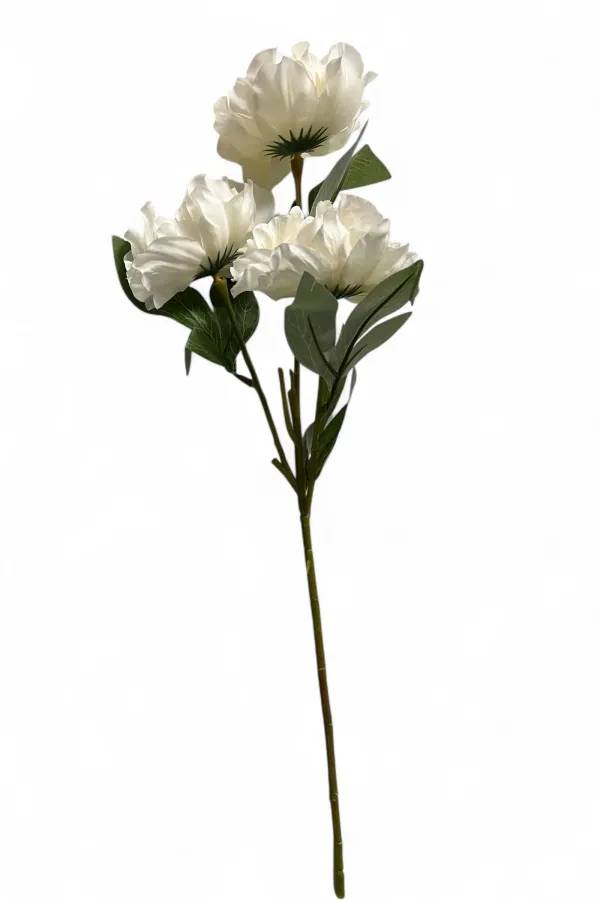 Head White Rose Stem