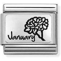 January Birth Flower Charm