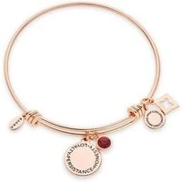 January Birthstone Rose Gold Bangle