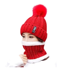 Knitted Hat Scarf and Gloves for Women Men Winter Set 3 in 1 Touchscreen Gloves Soft Thick Lining Suitable for Skiing, Z#red, One size