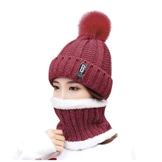 Knitted Hat Scarf and Gloves for Women Men Winter Set 3 in 1 Touchscreen Gloves Soft Thick Lining Suitable for Skiing, Z#Vin, One size