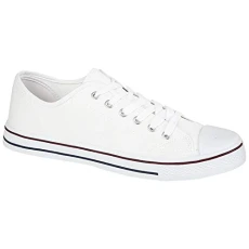 Ladies Canvas Shoes Womens Casual Lace Up Retro Plimsolls Plimsoles Low Top Flat Gym Baseball Sports Skate Trainers Lightweight Sneakers Fashion Classic Pumps Espadrilles(White, 5)