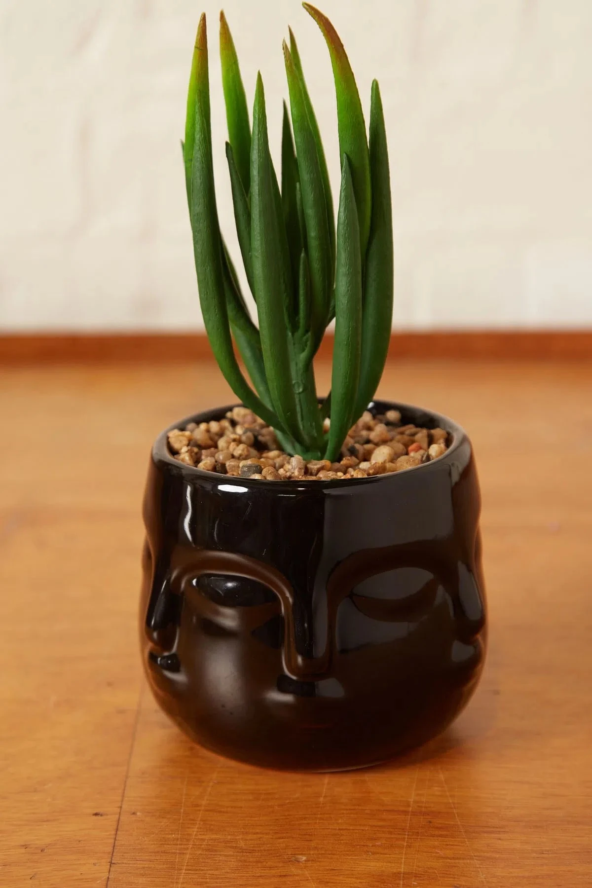 Large Faux Succulent In A Ceramic Face Planter Black - 








  
    
    


  Black


