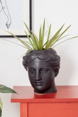 Large Venus Head Planter Black - 








  
    
    


  Black

