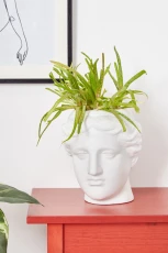 Large Venus Head Planter White - 








  

  

  

  

  

  

  

  

  

  

  

  

  

  

  

  

  

  

  

  

  

  

  

  

  

  

  

  

  

  

  

  

  

  

  

  
    
    


   White


