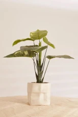 Large White Ceramic Paper Bag Planter - 








  

  

  

  

  

  

  

  

  

  

  

  

  

  

  

  

  

  

  

  

  

  

  

  

  

  

  

  

  

  

  

  

  

  

  

  
    
    


   White

