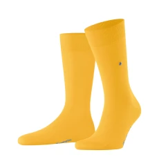 Lord Men Socks - Yellow