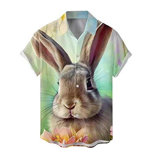 Male Easter Summer Casual Short Sleeve Button Down 3D Color Printing Lapel Shirt Male Jumpsuit (2C-G