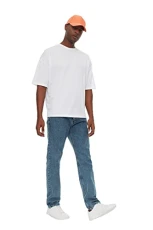 Man Normal Waist Straight Leg Regular fit Jeans Blau