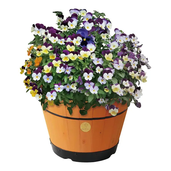 Medium Build-a-Barrel Kit - Peach - Pink