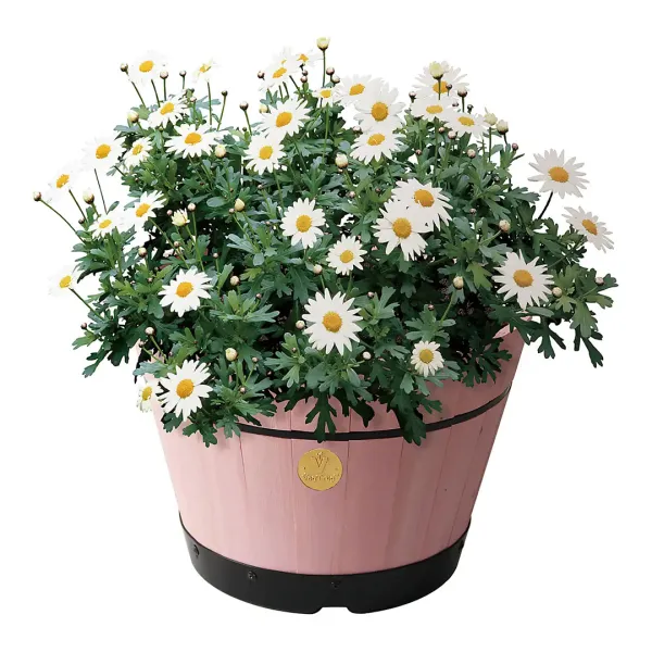 Medium Build-a-Barrel Kit - Pink