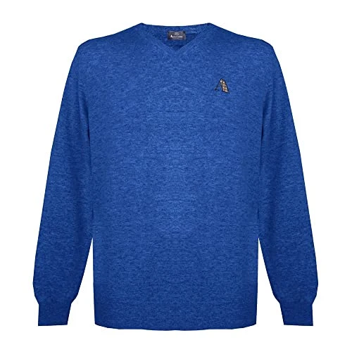 Mens Long Sleeved/V-Neck Knitwear Jumper with Logo in Blue (S)