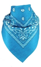 Men's Neckerchief - Turquoise - Turquoise - One size