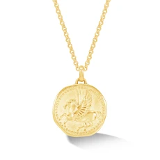 Mens Overcome and Thrive Pegasus Talisman Necklace