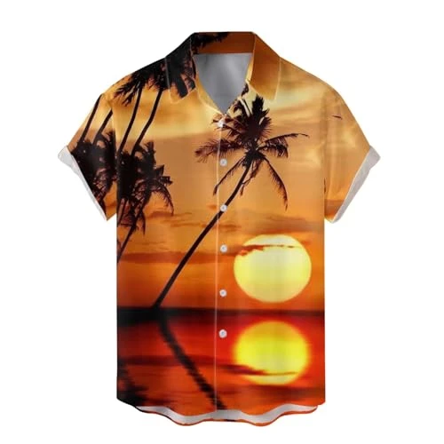 Men's Summer Fashion Digital 3D Printed Short Sleeve Button Down Shirt Top Checked Shirt Men, White,