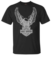 Men's T-Shirt Eagle Graphic Short Sleeve Tee Black Tee 30296656