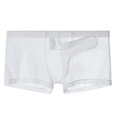 Mens Underwear Ultrathin Mesh Breathable Underwear Elephant Nose Transparent Sexy Bullet Separation Flat Corner Pants Lace Pouch White