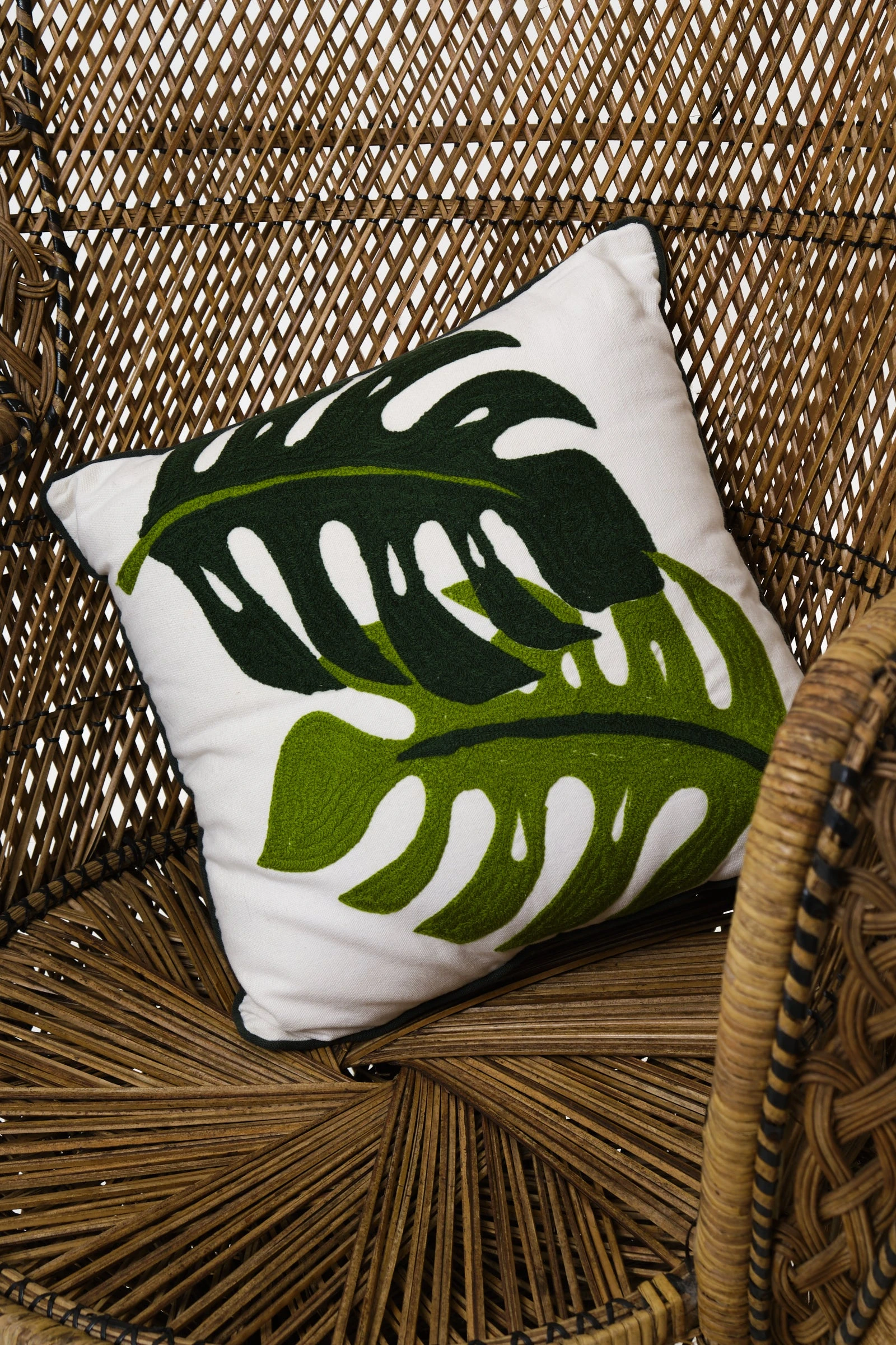 Monstera Embroidered Leaf Cushion - 








  

  

  

  

  

  

  

  

  

  

  

  

  

  

  

  

  

  

  

  

  

  

  

  

  

  

  

  

  

  

  

  

  

  

  

  

  

  

  

  

  

  

  
    
    


  red


