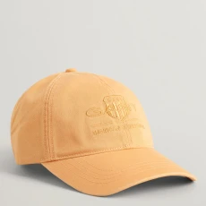 Orange Teen Tonal Archive Shield Cap