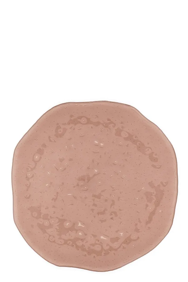 Organic Shaped Dinner Plate ⌀ Cm - U