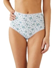 Pack of 5 Briefs Women Corsetry Maxi Blue Pack of 5 Briefs Women Corsetry Maxi Blue