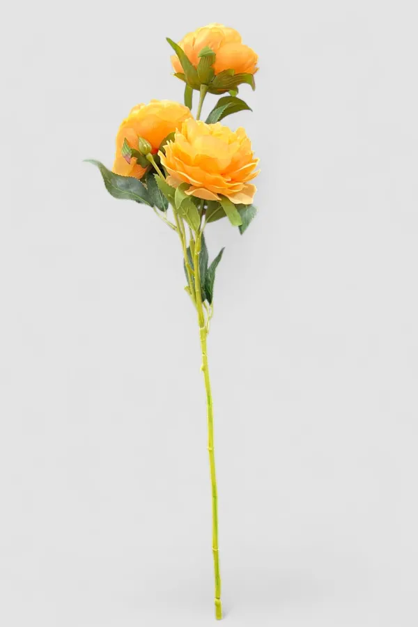 Pale Orange Head Rose Stem