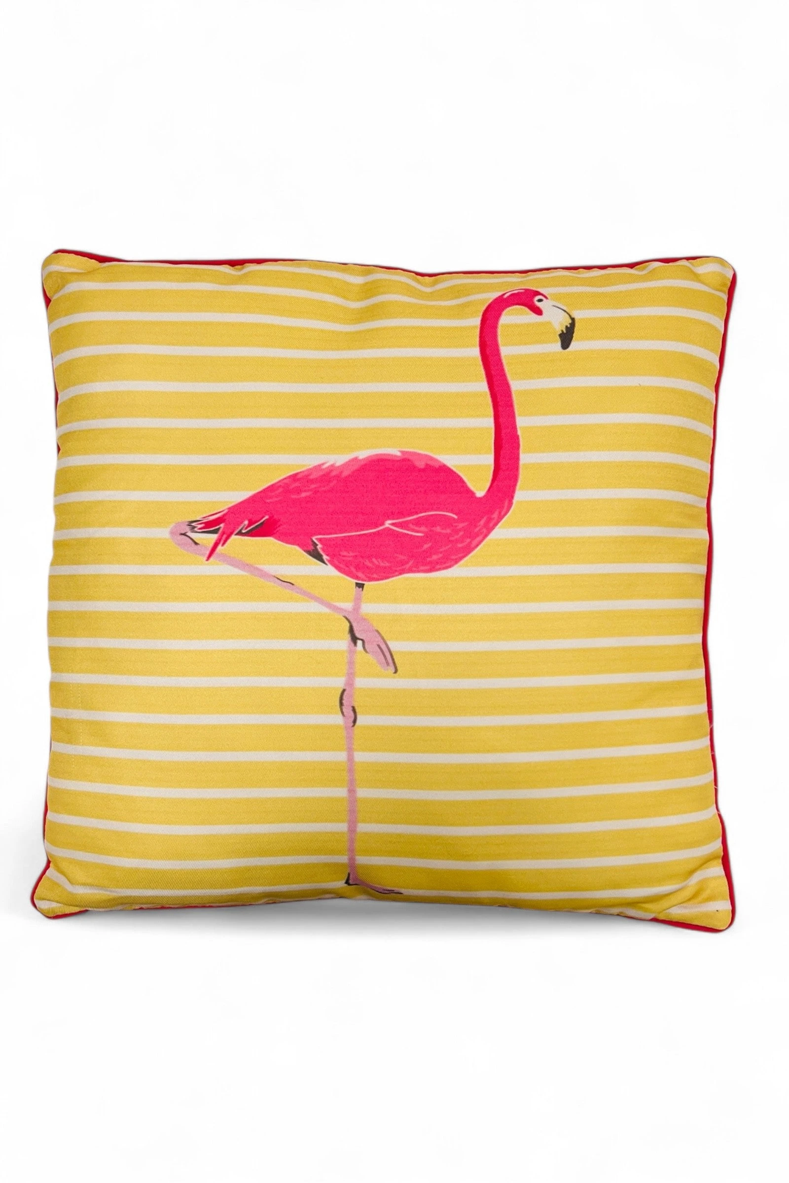 Pink Flamingo Yellow Cushion - 








  

  

  

  

  

  

  

  

  

  

  

  

  

  

  

  

  

  

  

  

  

  

  

  

  

  

  

  

  

  

  

  

  

  

  

  

  

  

  

  

  

  

  

  

  

  
    
    


  yellow

